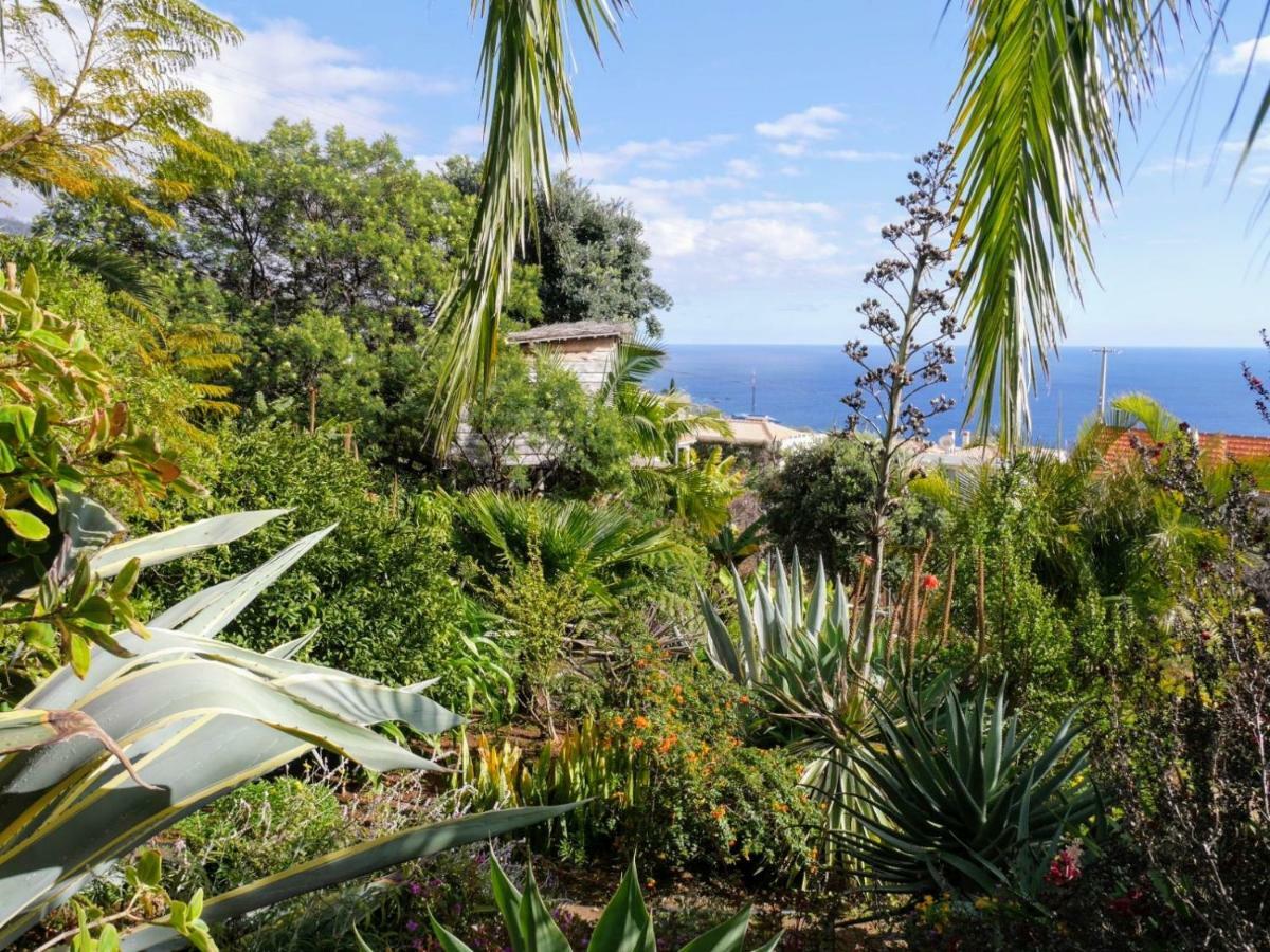 Casas Serenas Estreito Da Calheta Экстерьер фото